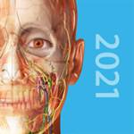 2021人体解剖学图谱苹果精简版