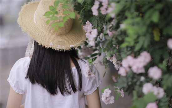 小猪秋葵幸福宝视频苹果版:丝瓜草莓向日葵芭比小猪安卓精简版下载