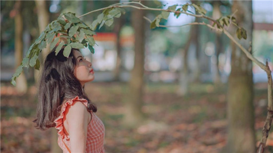 qksp.ⅴip秋葵精简版5.0.3污版大全：强力功能轻松解放双手享受精彩