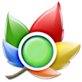 枫树浏览器官方下载  V2.0.9.20