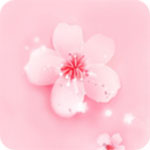樱花草WWW日本在线观看免费版