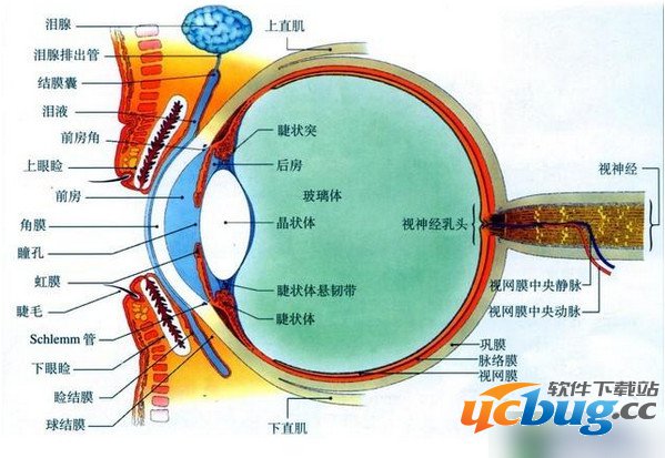 人眼的像素比相机还高吗？人眼的像素是多少