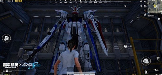 和平精英精英特权卡是什么