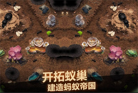 小小蚁国工蚁详解