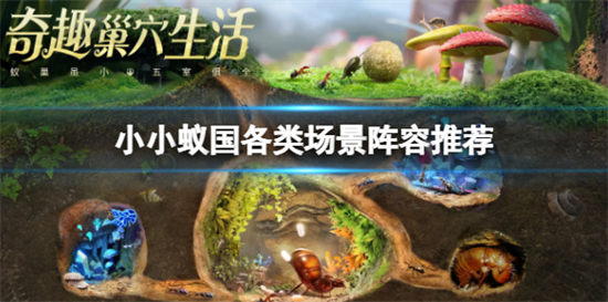 小小蚁国各类场景阵容推荐