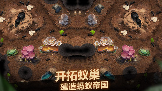 小小蚁国各类场景阵容推荐