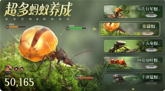 小小蚁国哪个蚂蚁好