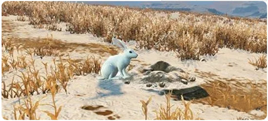 明日之后兔子怎么捉