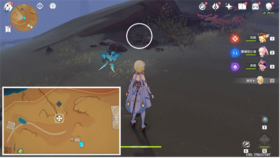 原神金蔷薇种子在哪