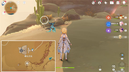 原神金蔷薇种子在哪