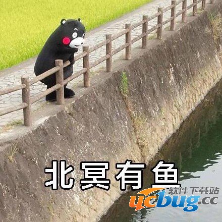 北冥有鱼,其名为鲲,鲲之大,一锅炖不下,化而为鸟是什么意思