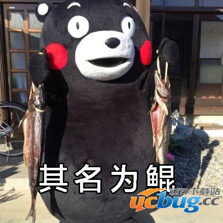 北冥有鱼,其名为鲲,鲲之大,一锅炖不下,化而为鸟是什么意思