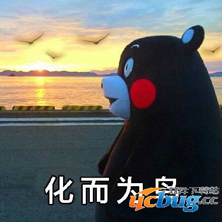 北冥有鱼,其名为鲲,鲲之大,一锅炖不下,化而为鸟是什么意思