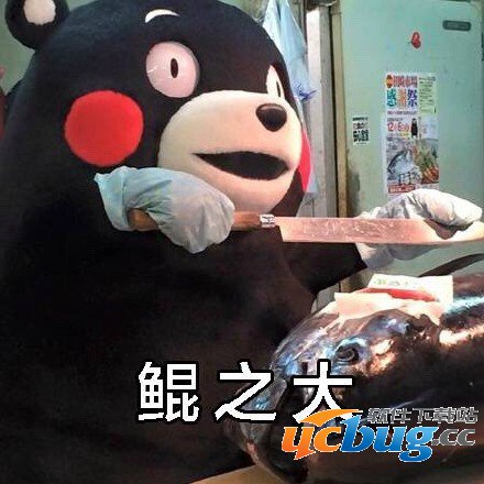 北冥有鱼,其名为鲲,鲲之大,一锅炖不下,化而为鸟是什么意思