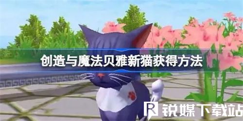 创造与魔法贝雅新猫怎么获得-创造与魔法贝雅新猫获得方法