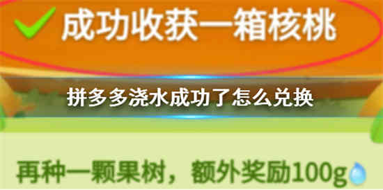 拼多多浇水成功了怎么兑换 拼多多浇水成功兑换礼品介绍