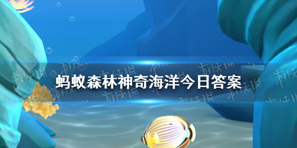 神奇海洋4月23日答案—“松球鱼”为什么得名