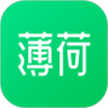 薄荷健康APP手机版