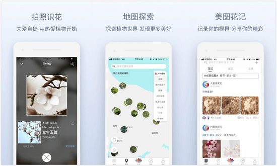 花伴侣app：一款手机拍照识别植物的应用