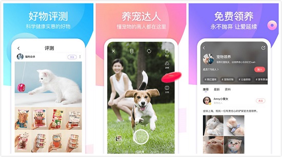 宠优优APP：一款专门为养宠达人而设计的宠物分享平台