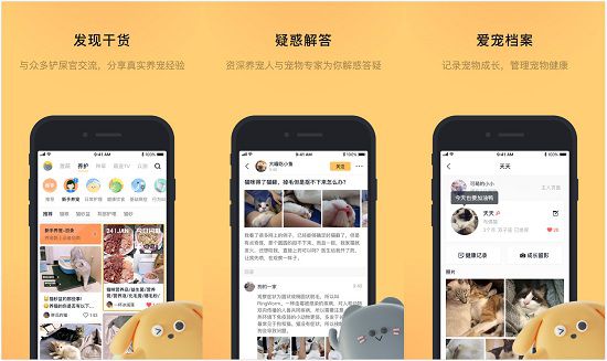 宠明app：一款能分享养宠物心得的软件